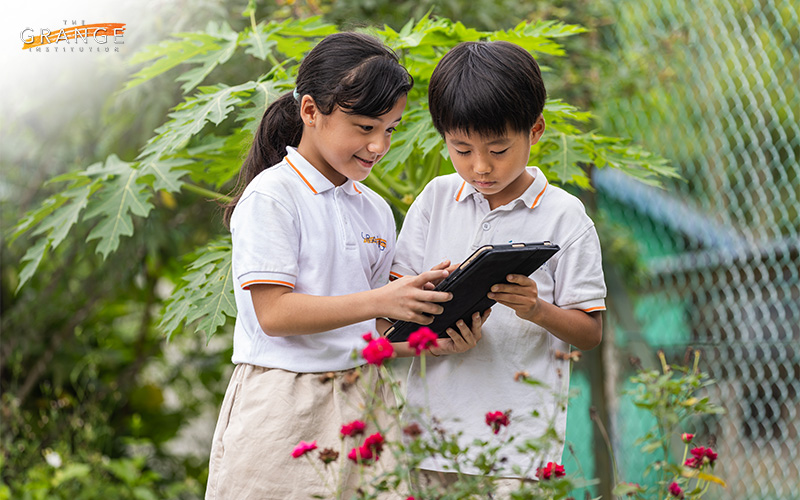 Primary school students using technology to learn more about species of plants at the eco-garden