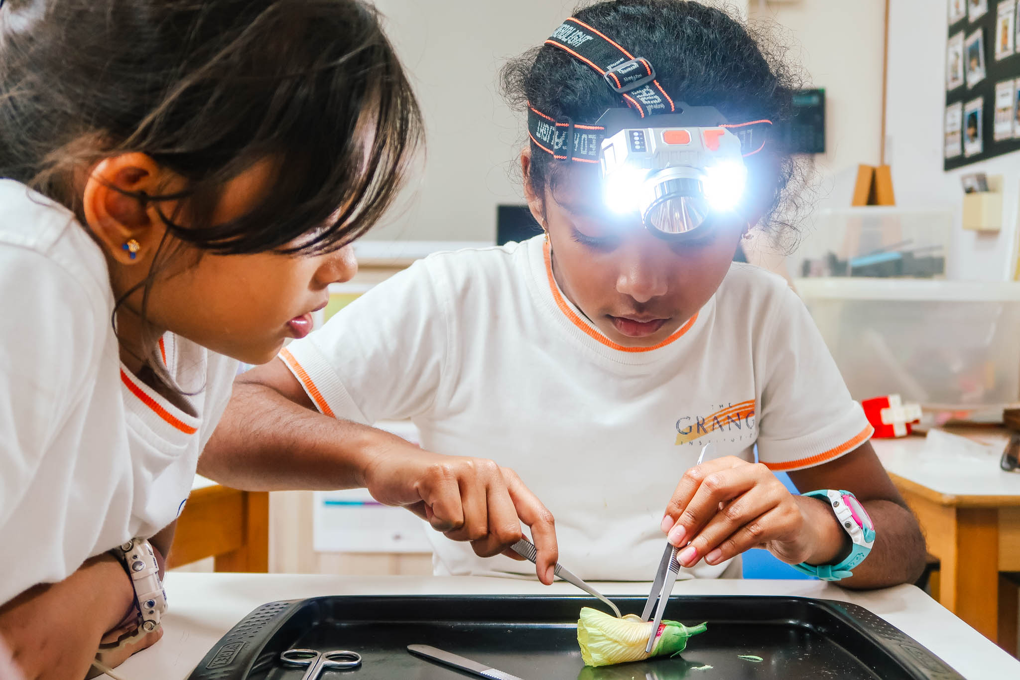 Science experiment in the classroom